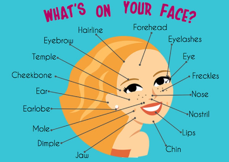 Các cách miêu tả một người trong tiếng Anh