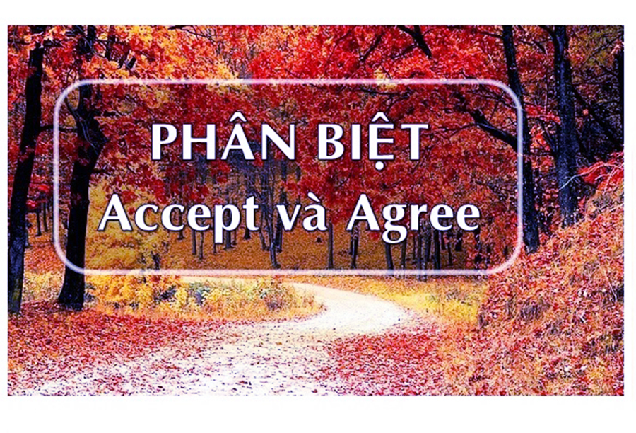 Cách sử dụng và phân biệt giữa Accept và Agree