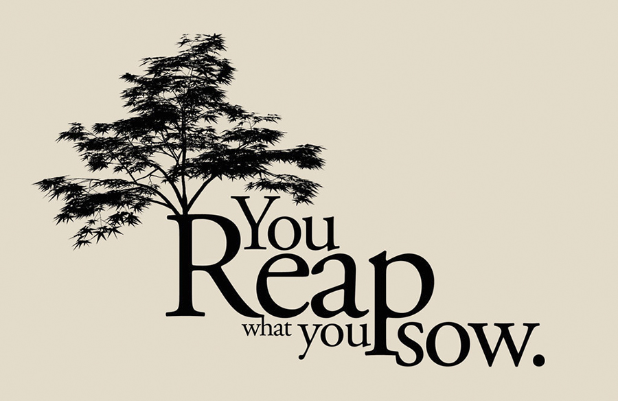 câu châm ngôn tiếng Anh 