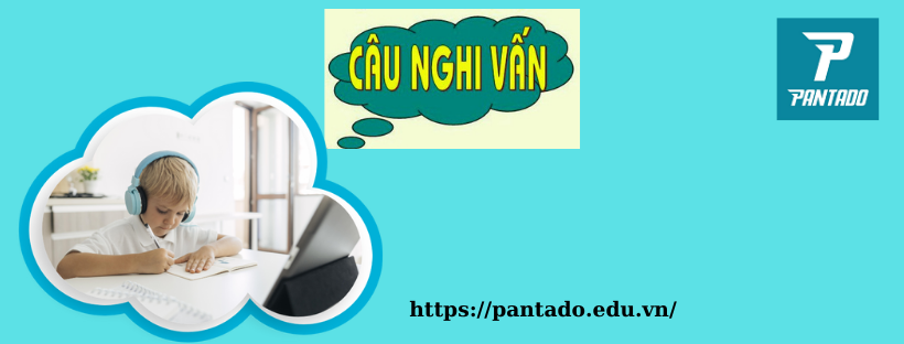 Câu nghi vấn là gì