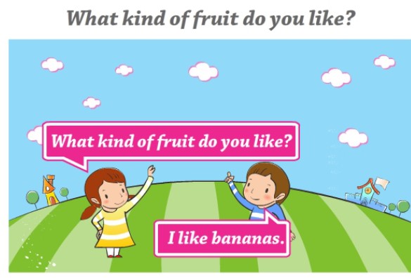 Cấu trúc what kind of, type of, sort of trong tiếng Anh