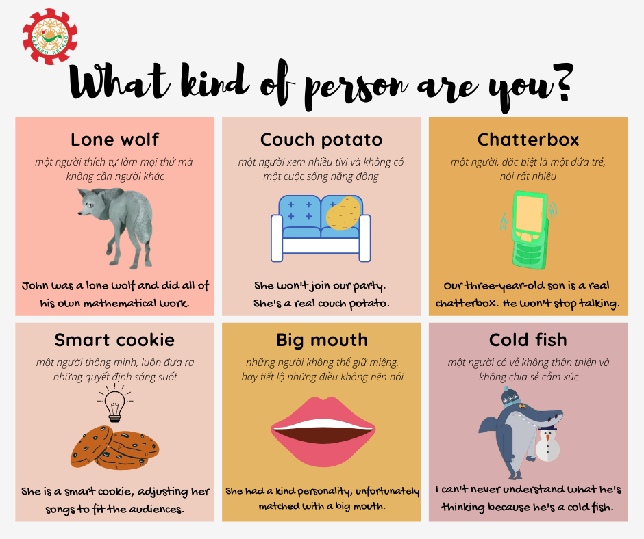 Cấu trúc what kind of, type of, sort of trong tiếng Anh