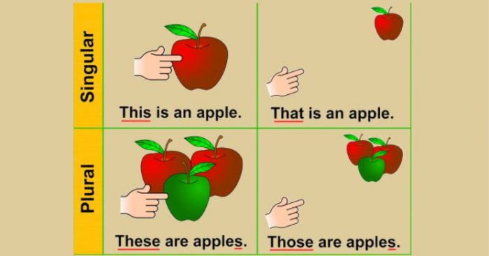 Cách dùng đại từ chỉ định trong tiếng Anh