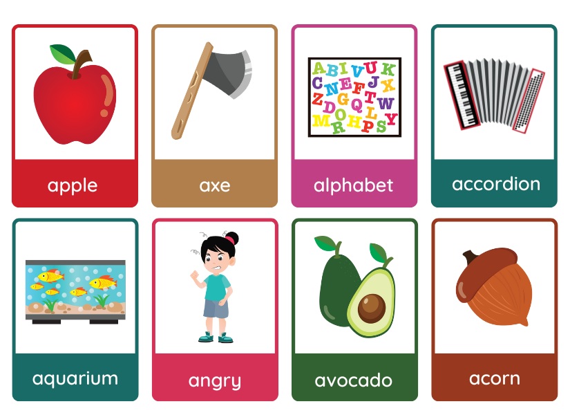 Các danh từ tiếng Anh bắt đầu bằng chữ “a”