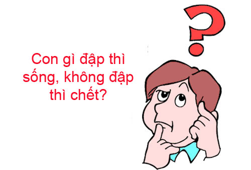 câu đố vui cho trẻ em