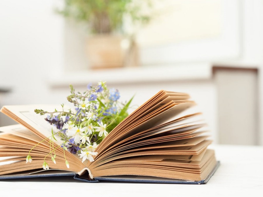 những câu nói hay về sự cố gắng