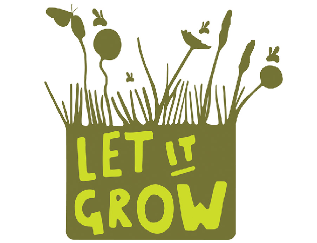 phân biệt cấu trúc Let, Lets và Let’s