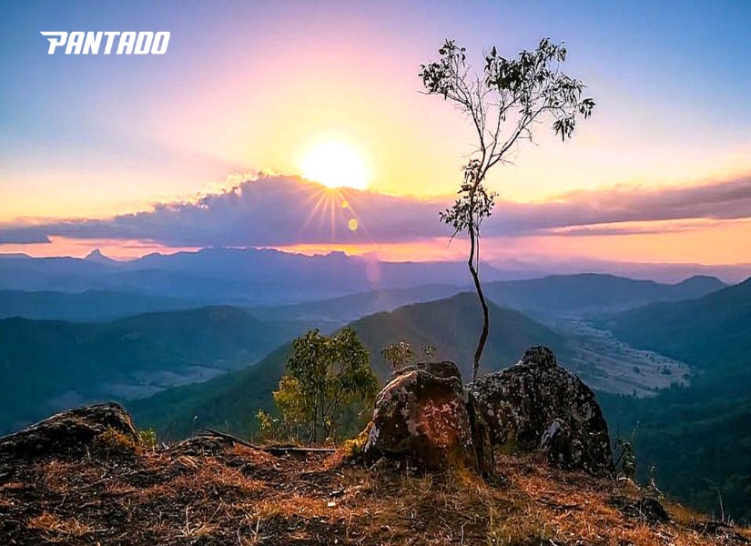 Định nghĩa của “Rise”