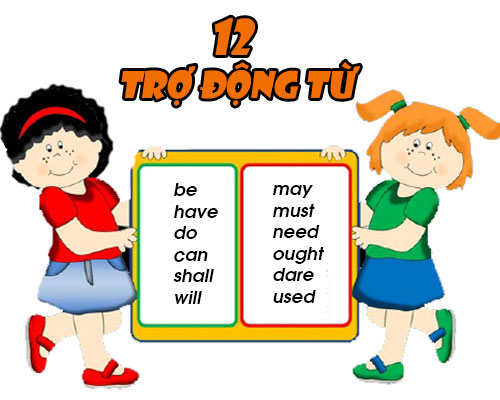 trợ động từ trong tiếng Anh 