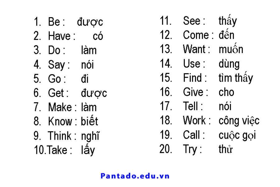 Từ vựng tiếng Anh cho người mới bắt đầu