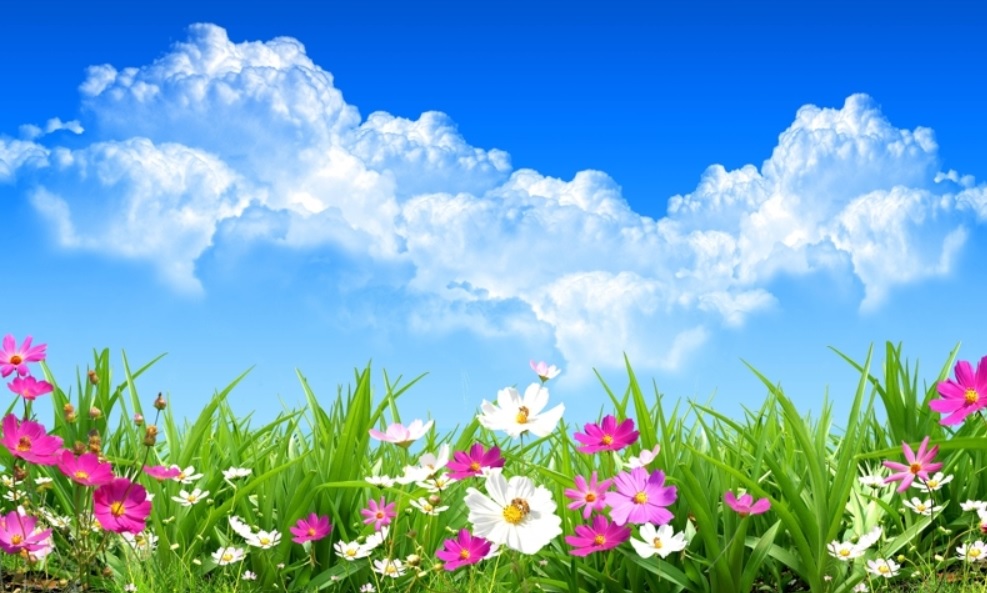 từ vựng tiếng Anh về thiên nhiên