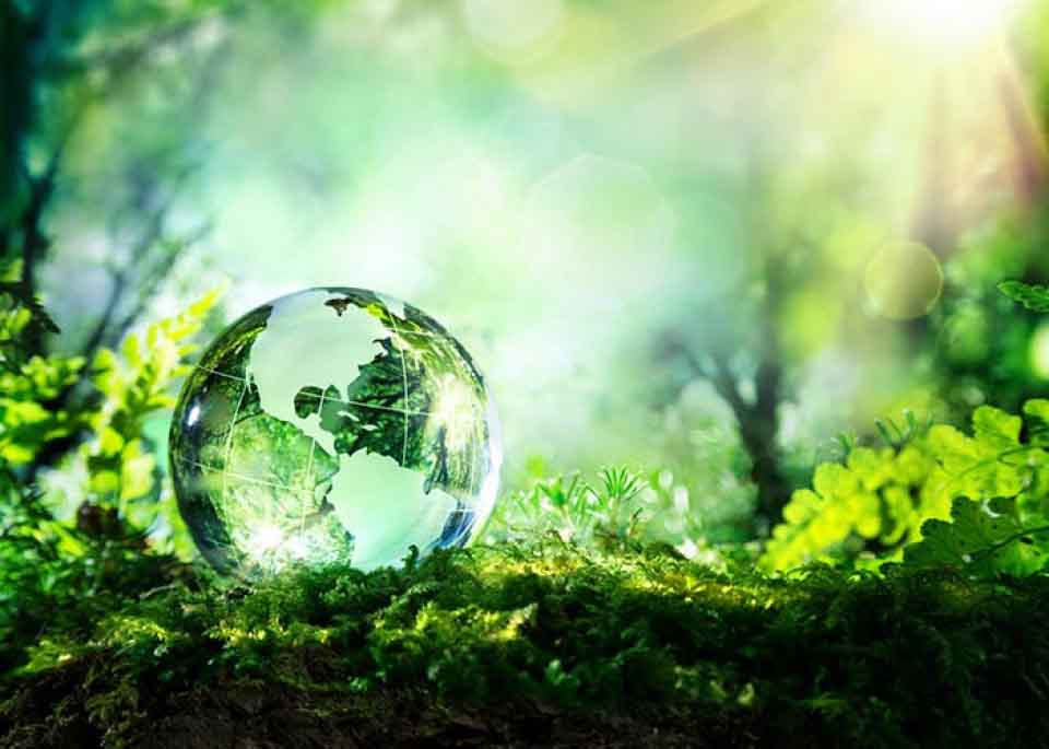 từ vựng tiếng Anh về thiên nhiên